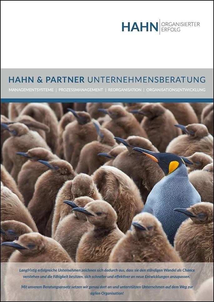 Unternehmensbroschüre HAHN & PARTNER Unternehmensberatung